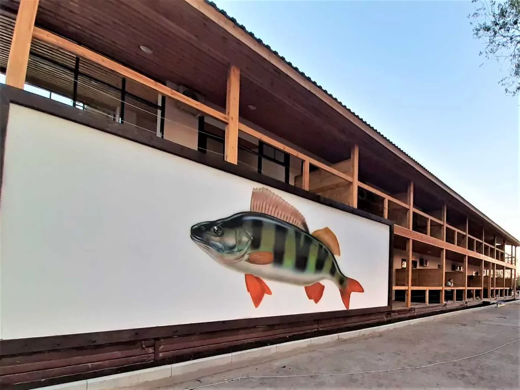 Fish Sense