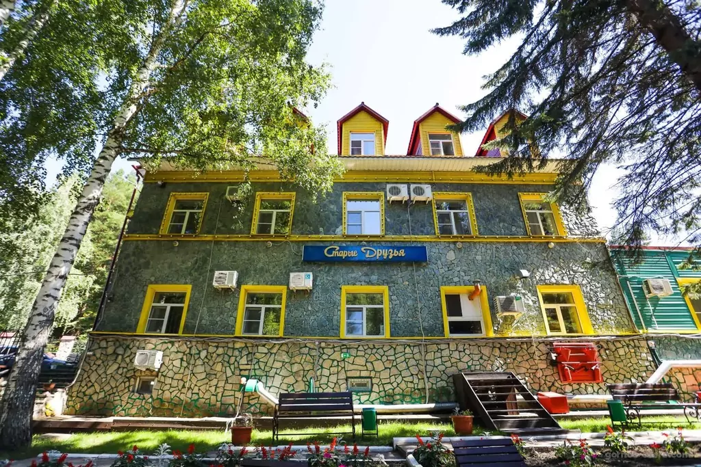 Старые друзья