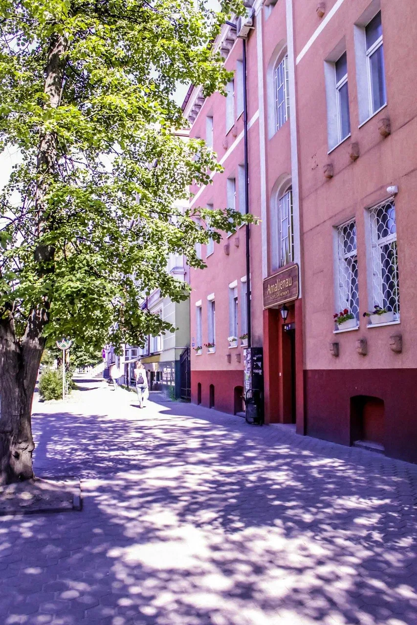 Amalienau Hostel&Apartments