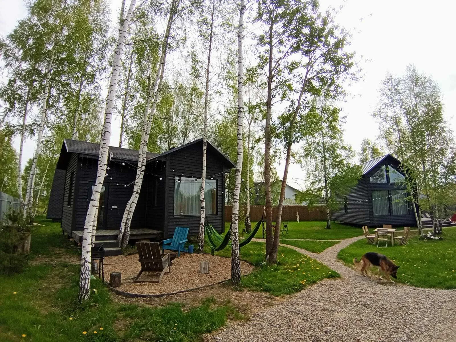 Берёзовка