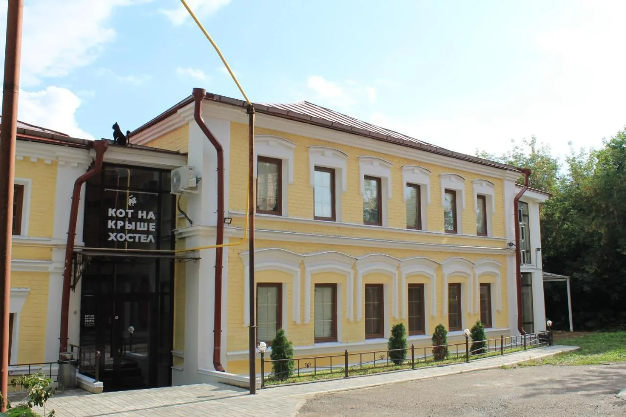 Кот на крыше(Казань)