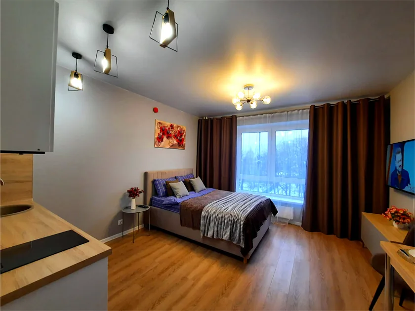 Loft Studio Ларюшина 2