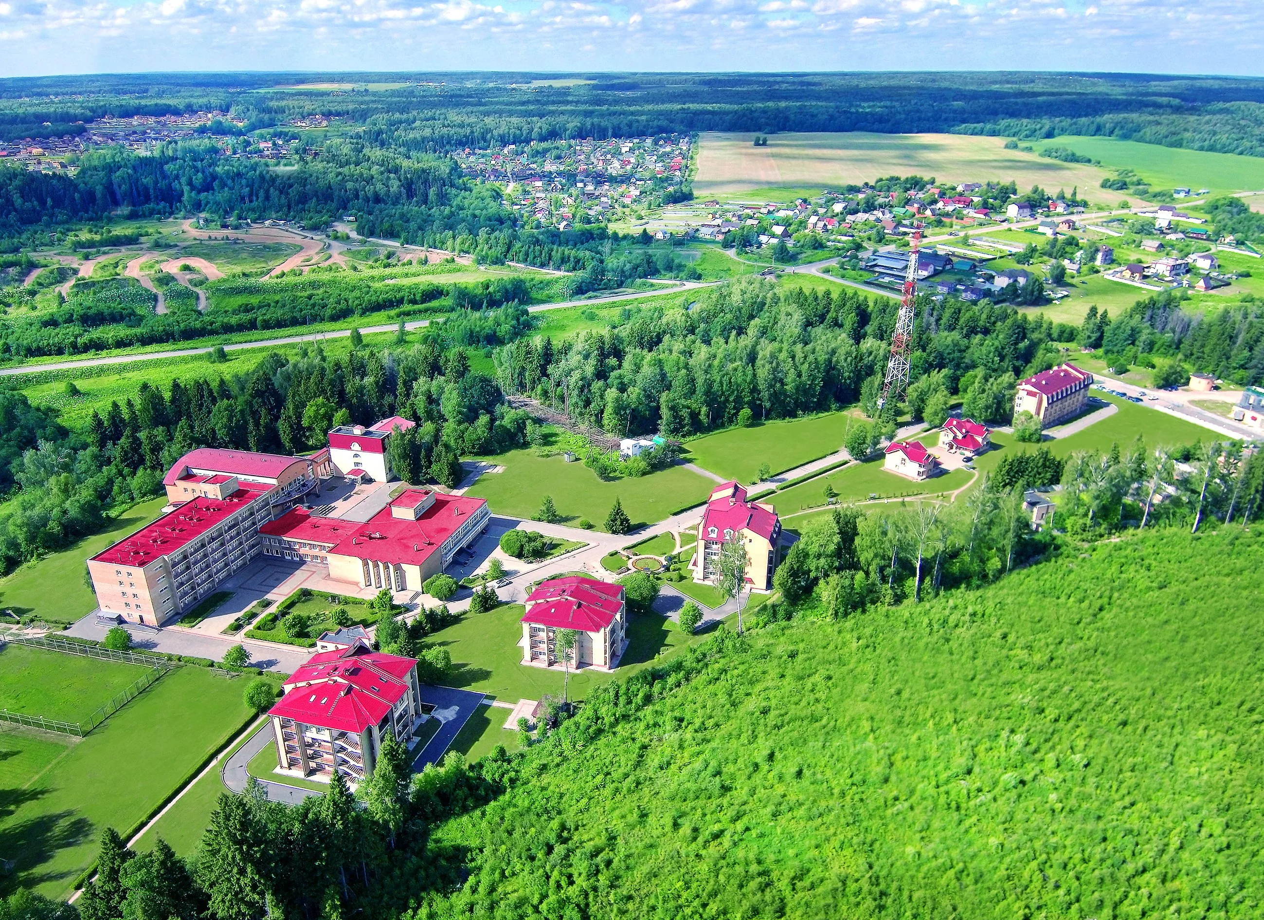 Виктория (Московская обл.)