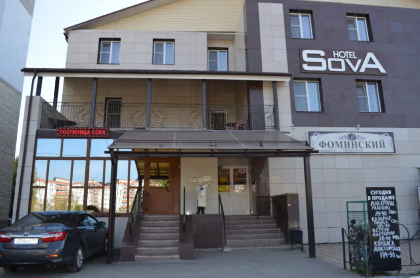 Сова (Муром)