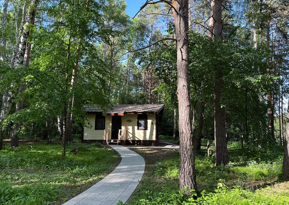 Лес и река (Бердск)