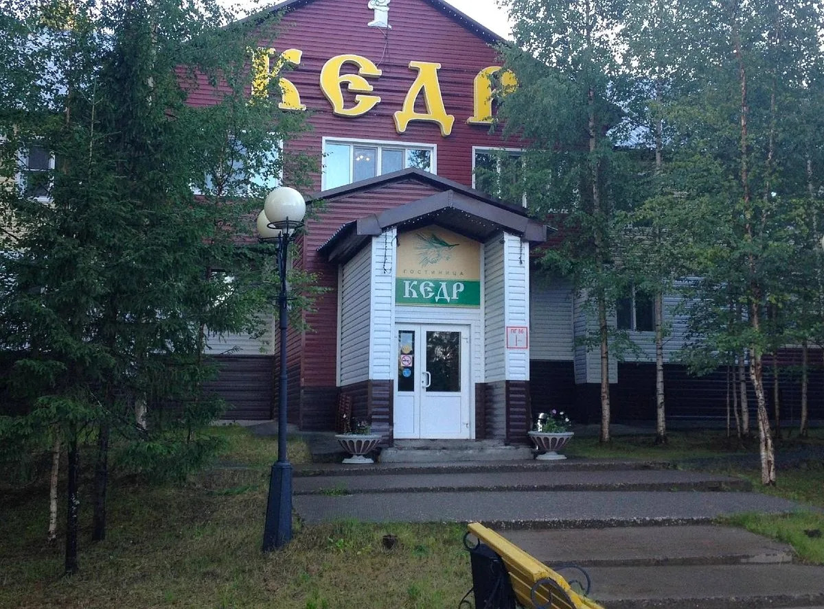 Кедр Нягань