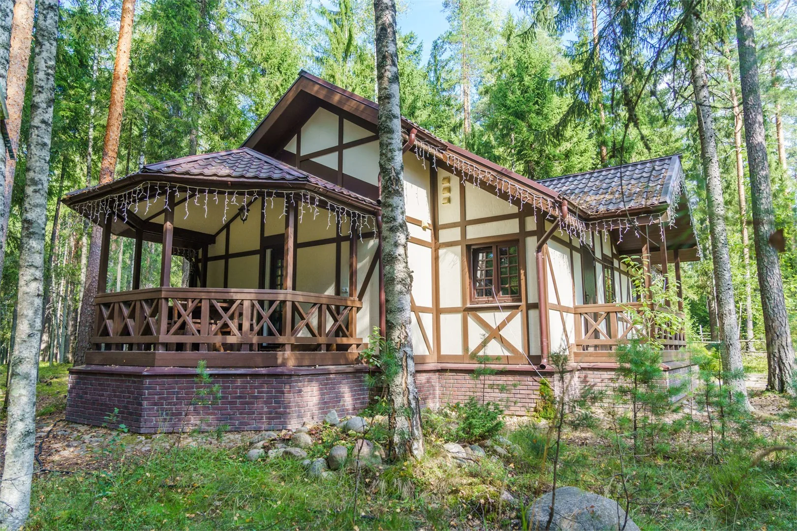 Шишки на Лампушке
