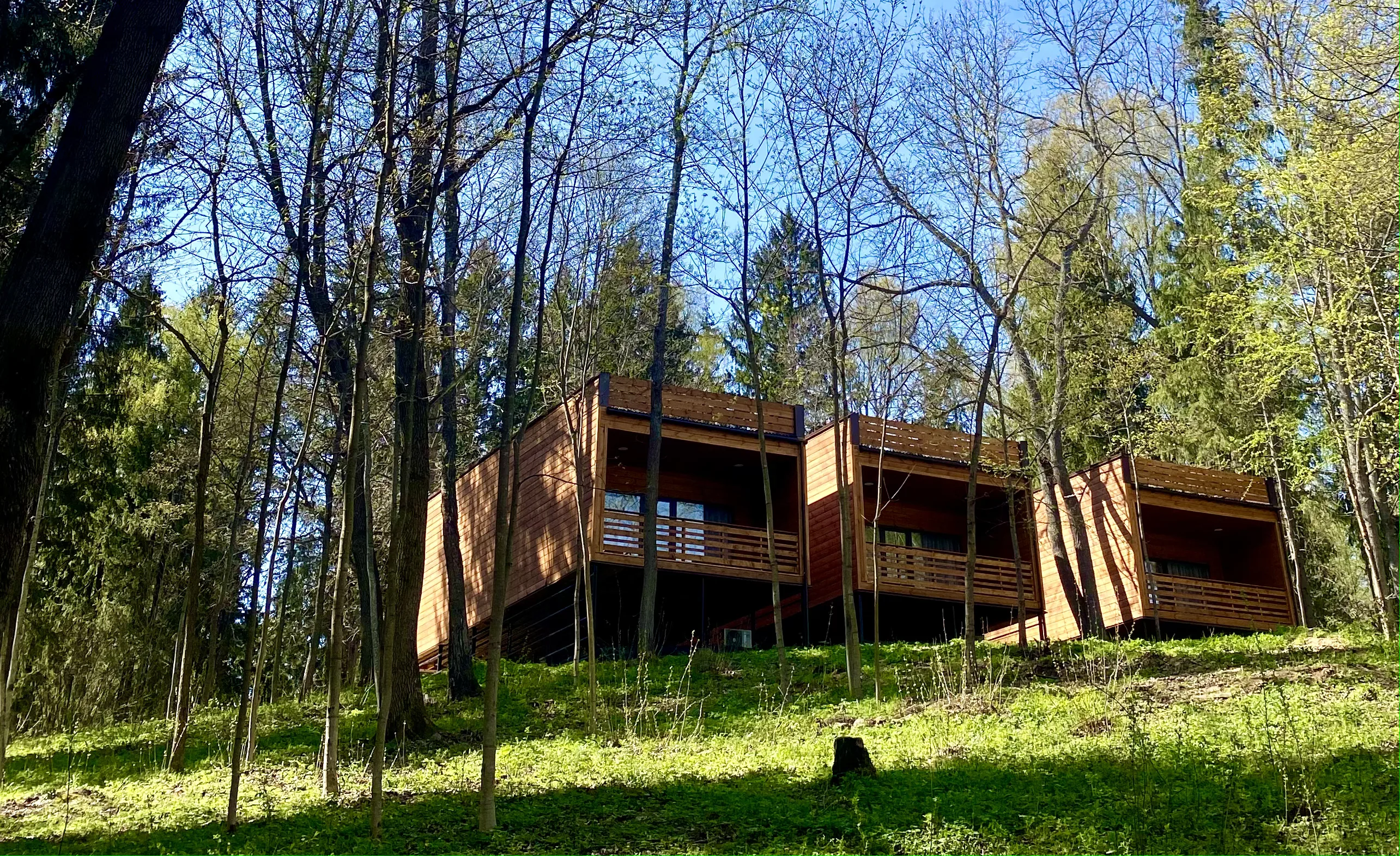 Ruza Forest
