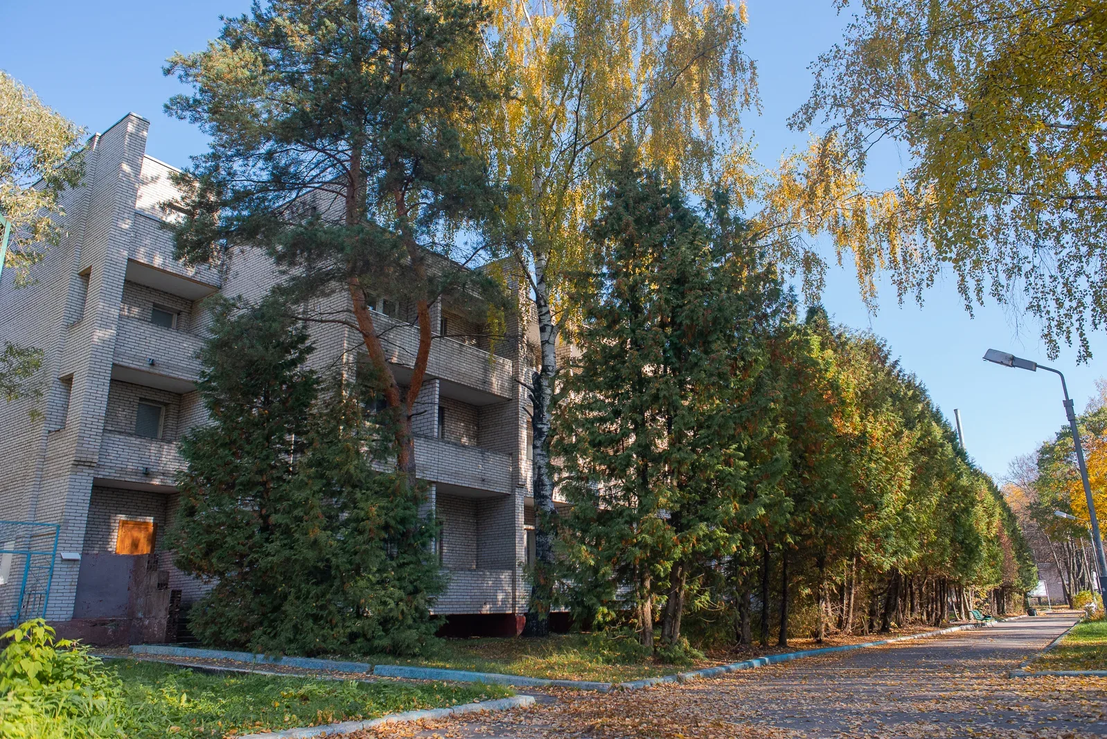 Лесные поляны база отдых