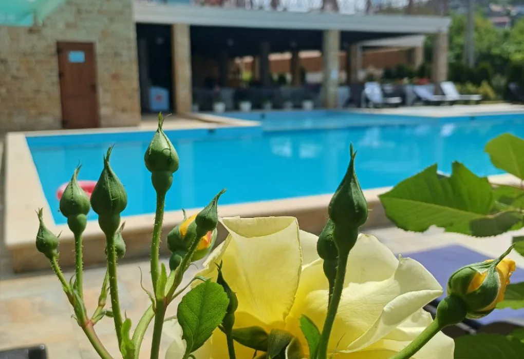 "Aura Sochi Hotel" ("Аура") Г-ца ****