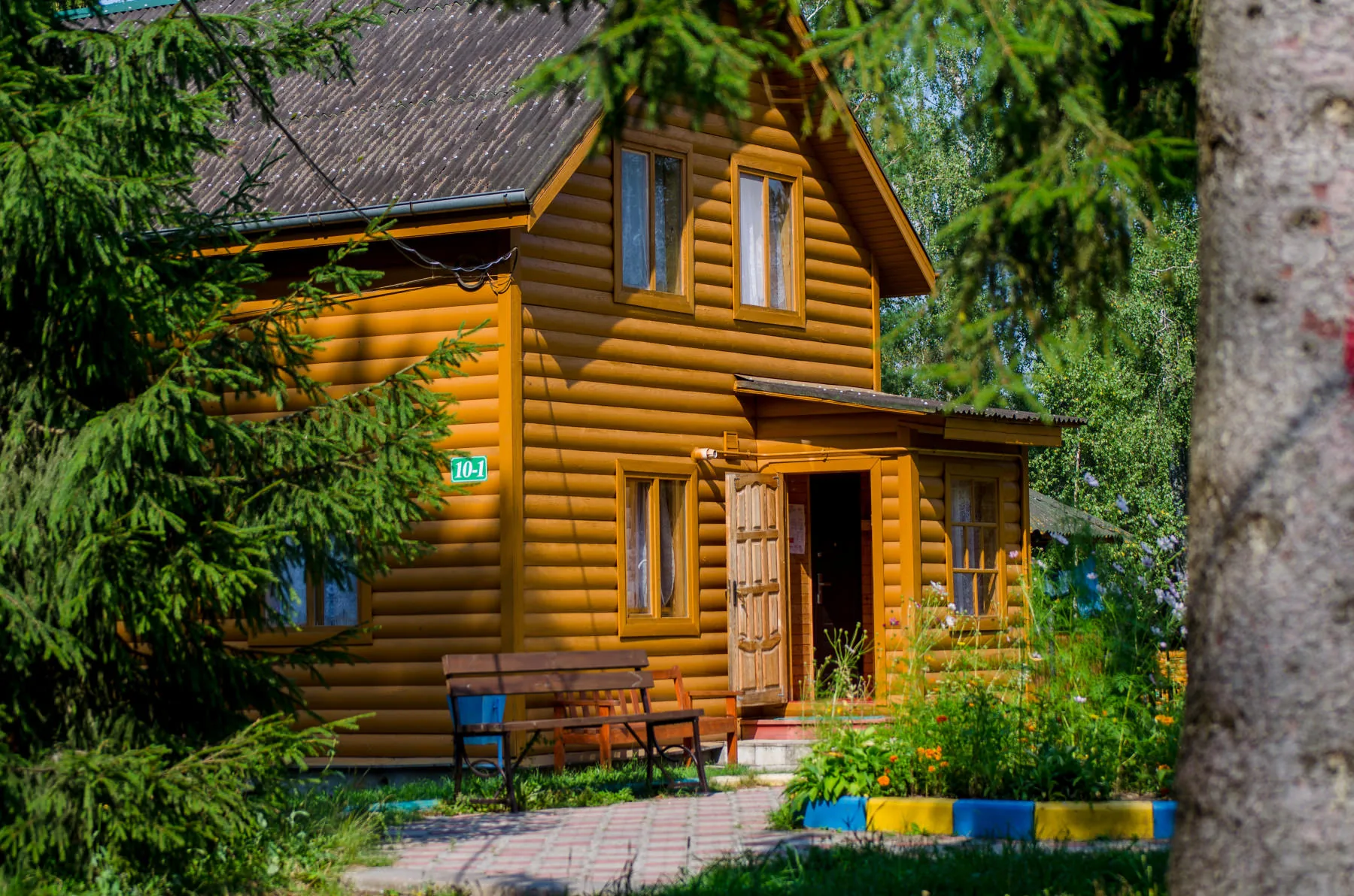 Березовая роща