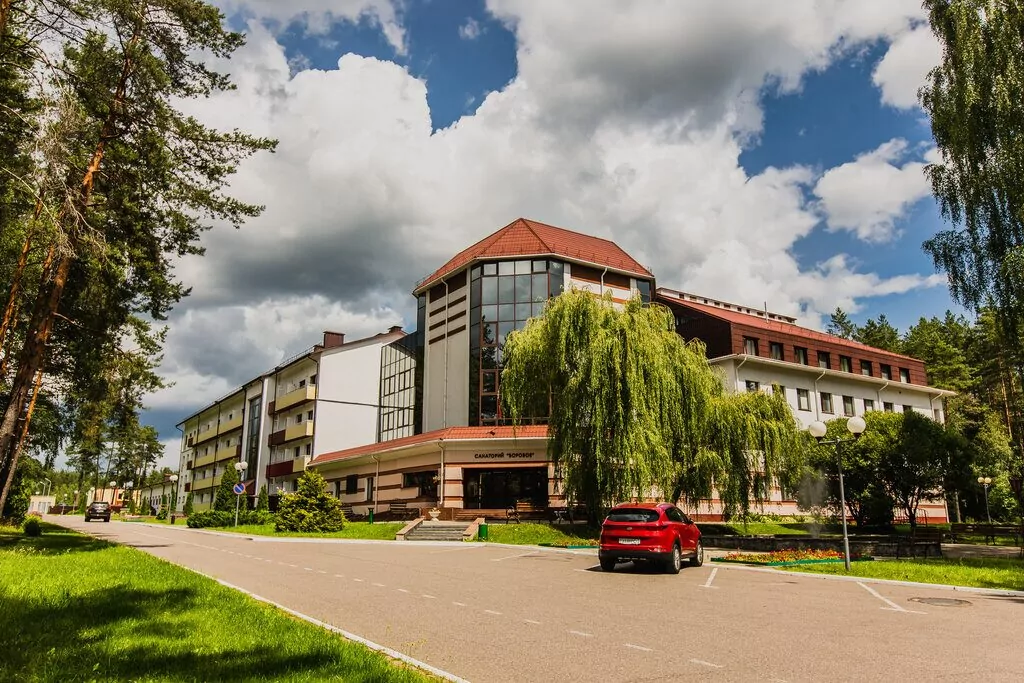 Боровое (Витебская область)