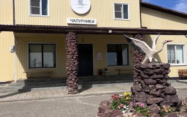 Чапурники