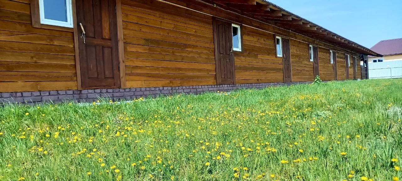 Ромашка (Яровое)